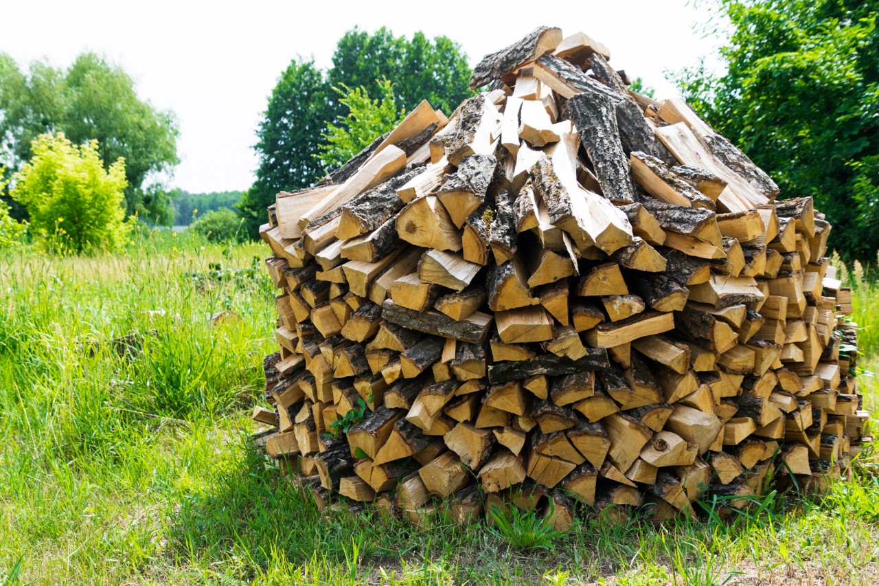 Brennholz lagern