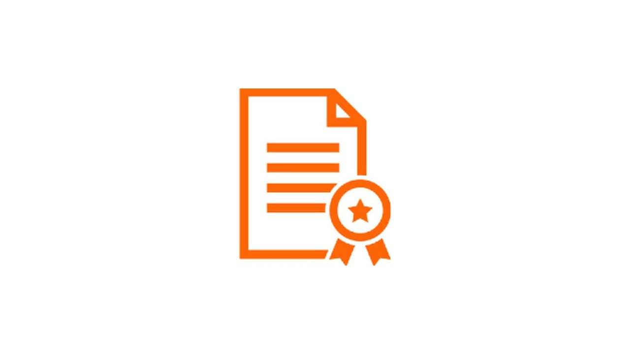 Icon Schadensfall