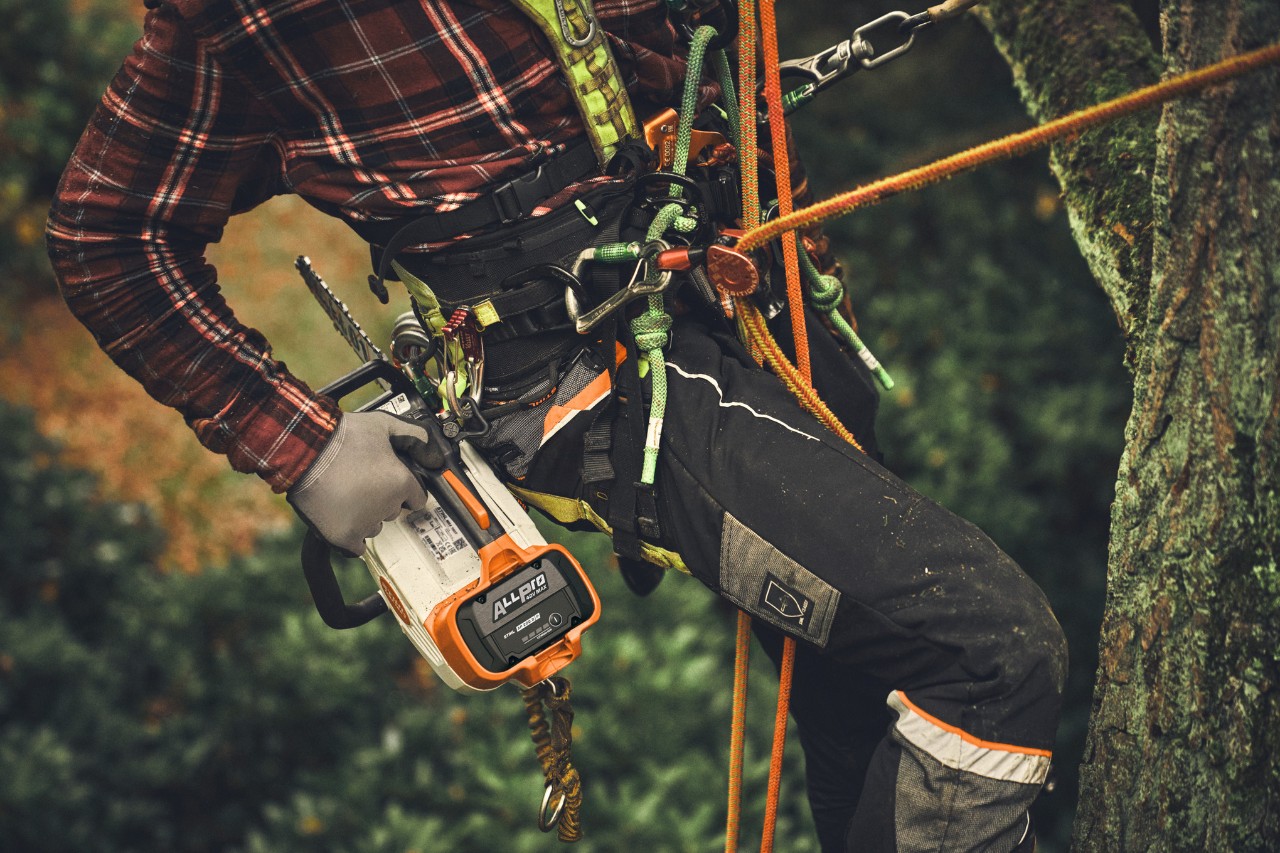 Nahaufnahme einer Person, die mit der Akku-Kettensäge STIHL MSA 190 T auf einen Baum klettert.